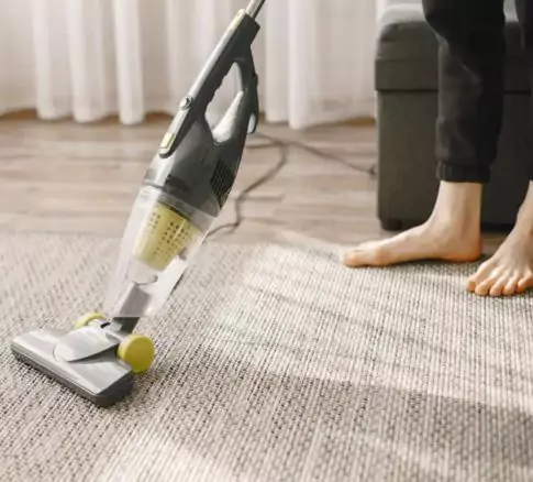 Same Day Carpet Cleaning